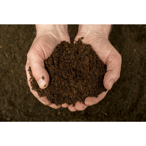 Composting 101: Tips and Tricks