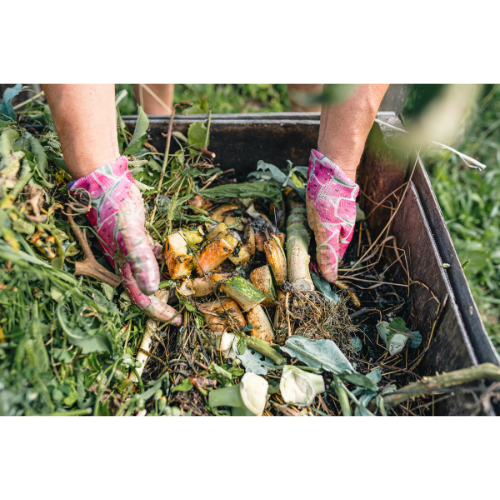 What is composting and why is it important?