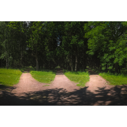 Choose Any Three: How Papaya changed the menstrual pad game