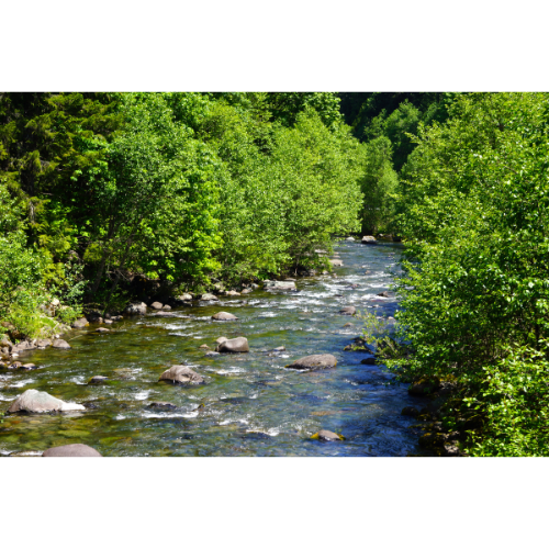 Our local watershed
